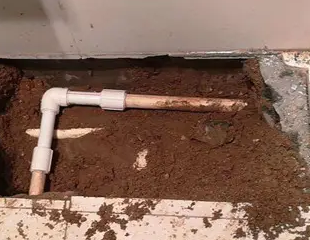 二七测漏水哪家好