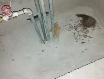 二七卫生间测漏水价格明细